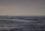Сцена из фильма Ад в открытом море / Hell and High Water (1954) Ад в открытом море сцена 6