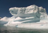 Сцена из фильма HDScape: Антарктика - Дикая жизнь на льду / Antarctica Dreaming - Wild Life On Ice (2006) Антарктика - Дикая жизнь на льду сцена 2