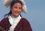 Сцена из фильма Теневой Кнут / Ying zi shen bian (1971) Теневой Кнут (Призрак с хлыстом) сцена 1
