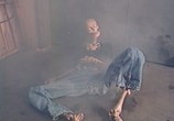Фильм Ведьмы-вампирши с Венеры / Vampire Vixens from Venus (1994) - cцена 5