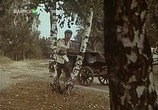 Сцена из фильма Купальская ночь (1982) 