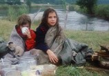 Сцена из фильма Сплав по реке с курицей / Flußfahrt mit Huhn (1984) Сплав по реке с курицей сцена 6