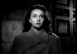 Фильм Белый шейх / Lo sceicco bianco (1952) - cцена 3