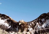 Сцена из фильма Дикая Монголия: страна крайностей / Wild Mongolia. Land of Extremes (2018) Дикая Монголия: страна крайностей. Выжившие в пустыне сцена 2