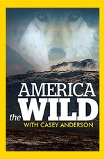 Прекрасная Америка: На границе с дикой природой