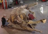 ТВ National Geographic : Когда крокодилы ели динозавров / When crocs ate dinosaurs (2009) - cцена 1