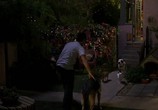 Сцена из фильма Крошка из Беверли-Хиллз 2 / Beverly Hills Chihuahua 2 (2011) Крошка из Беверли-Хиллз 2 сцена 2