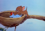 Сцена из фильма Том и Джерри: Лучшее / Tom and Jerry (1943) Том и Джерри: Лучшее сцена 6