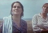 Сцена из фильма Русское поле (1972) Русское поле сцена 1