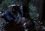 Сцена из фильма Кладбище домашних животных 2 / Pet Sematary 2 (1992) Кладбище домашних животных 2 сцена 3