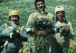 Фильм Три жениха (1978) - cцена 1