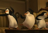 Сцена из фильма Пингвины из Мадагаскара / The Penguins Of Madagascar (2009) Пингвины из Мадагаскара