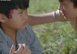 Фильм Жёлтые цветы на зелёной траве / Toi thay hoa vang tren co xanh (2015) - cцена 1