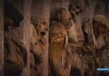 Сцена из фильма National Geographic: Мумии Сицилии / National Geographic: Mummies Sicily (2008) National Geographic: Мумии Сицилии сцена 1