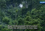 Сцена из фильма Древний остров Борнео / Borneo – Earth’s Ancient Eden (2019) Древний остров Борнео сцена 3