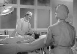 Сцена из фильма Шах носильщику / Échec au porteur (1958) Шах носильщику сцена 13