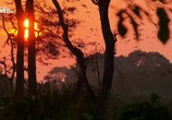 ТВ Дикая река Конго / Wild Congo (2017) - cцена 3