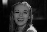 Сцена из фильма Из-за, из-за женщины / À cause, à cause d'une femme (1962) Из-за, из-за женщины сцена 16