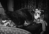 Сцена из фильма Золотой Век / L' Age D'or (1930) Золотой Век сцена 13