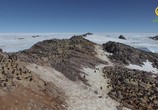 Сцена из фильма Антарктика. Живущие на грани / Antarctica. Living on the edge (2016) Антарктика. Живущие на грани сцена 2