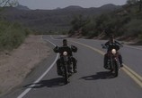 Сцена из фильма Прирожденный гонщик / Born to Ride (2011) Прирожденный гонщик сцена 6