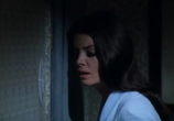 Сцена из фильма Мой дорогой убийца / Mio caro assassino (1972) 