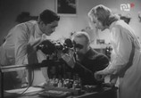 Сцена из фильма Белый негр / Biały Murzyn (1939) Белый негр сцена 6