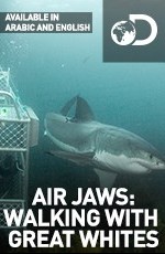 Летающие челюсти: прогулка с белыми акулами