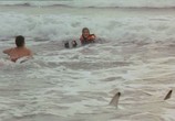 Сцена из фильма Кровавый серфинг / Krocodylus (2000) Кровавый серфинг сцена 4