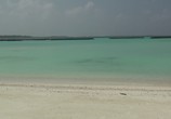 Сцена из фильма Мальдивы: Впечатления. Великолепные острова / Malediven: HD Impressionen Traumhafter Inseln (2011) Мальдивы: Впечатления. Великолепные острова сцена 7