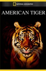 Американский тигр