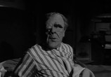 Сцена из фильма Тарантул / Tarantula (1955) Тарантул сцена 3