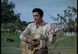 Сцена из фильма Elvis Presley - Hollywood Elvis Vol.1-4 (2007) Elvis Presley - Hollywood Elvis Vol.1-4 сцена 1