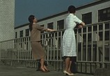 Фильм Поздняя осень / Akibiyori (1960) - cцена 3