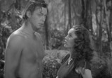 Сцена из фильма Тарзан находит сына / Tarzan Finds a Son! (1939) Тарзан находит сына сцена 3