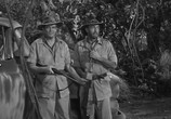 Сцена из фильма Тарзан и охотники с капканами / Tarzan and the Trappers (1958) Тарзан и охотники с капканами сцена 12