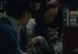 Сцена из фильма Если кошки исчезнут во всём мире / Sekai kara neko ga kieta nara (2016) 