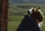 Сцена из фильма Лэсси / Lassie (1994) Лэсси сцена 6