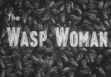 Сцена из фильма Женщина-оса / The Wasp Woman (1959) 