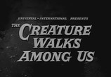 Сцена из фильма Тварь ходит среди нас / The Creature Walks Among Us (1956) 