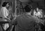 Фильм Женщина в бегах / Woman in Hiding (1950) - cцена 3