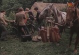 Сцена из фильма Лес, в который ты никогда не войдешь (1978) Лес, в который ты никогда не войдешь сцена 4