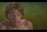 Сцена из фильма Изумрудный лес / The Emerald Forest (1985) Изумрудный лес сцена 4