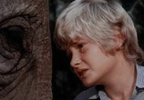 Сцена из фильма Мальчик, который украл слона / The Boy Who Stole the Elephant (1970) Мальчик, который украл слона сцена 16