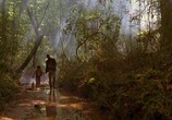 Сцена из фильма Приключения Гекльберри Финна / The Adventures of Huck Finn (1993) Приключения Гекльберри Финна сцена 6