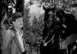 Сцена из фильма Хозяин царства гор / King of the Royal Mounted (1940) Хозяин царства гор сцена 6