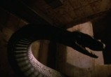 Сцена из фильма Питоны 2. Кошмар продолжается! / Python 2 (2002) Питон 2 сцена 5
