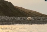Сцена из фильма Новосибирские острова. Загадки земли мамонта (2013) Новосибирские острова. Загадки земли мамонта сцена 3