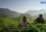 Сцена из фильма Дикая Шри Ланка / Wild Sri Lanka (2015) Дикая Шри Ланка сцена 6