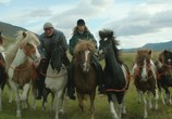 Сцена из фильма О лошадях и людях / Hross í oss (2014) 